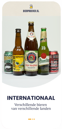 Online Bierproeverij Pakket - Internationaal